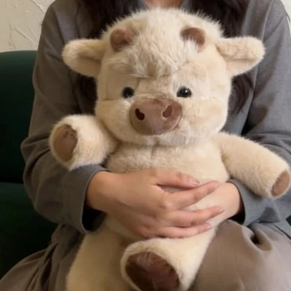 Your new favourite cuddle buddy