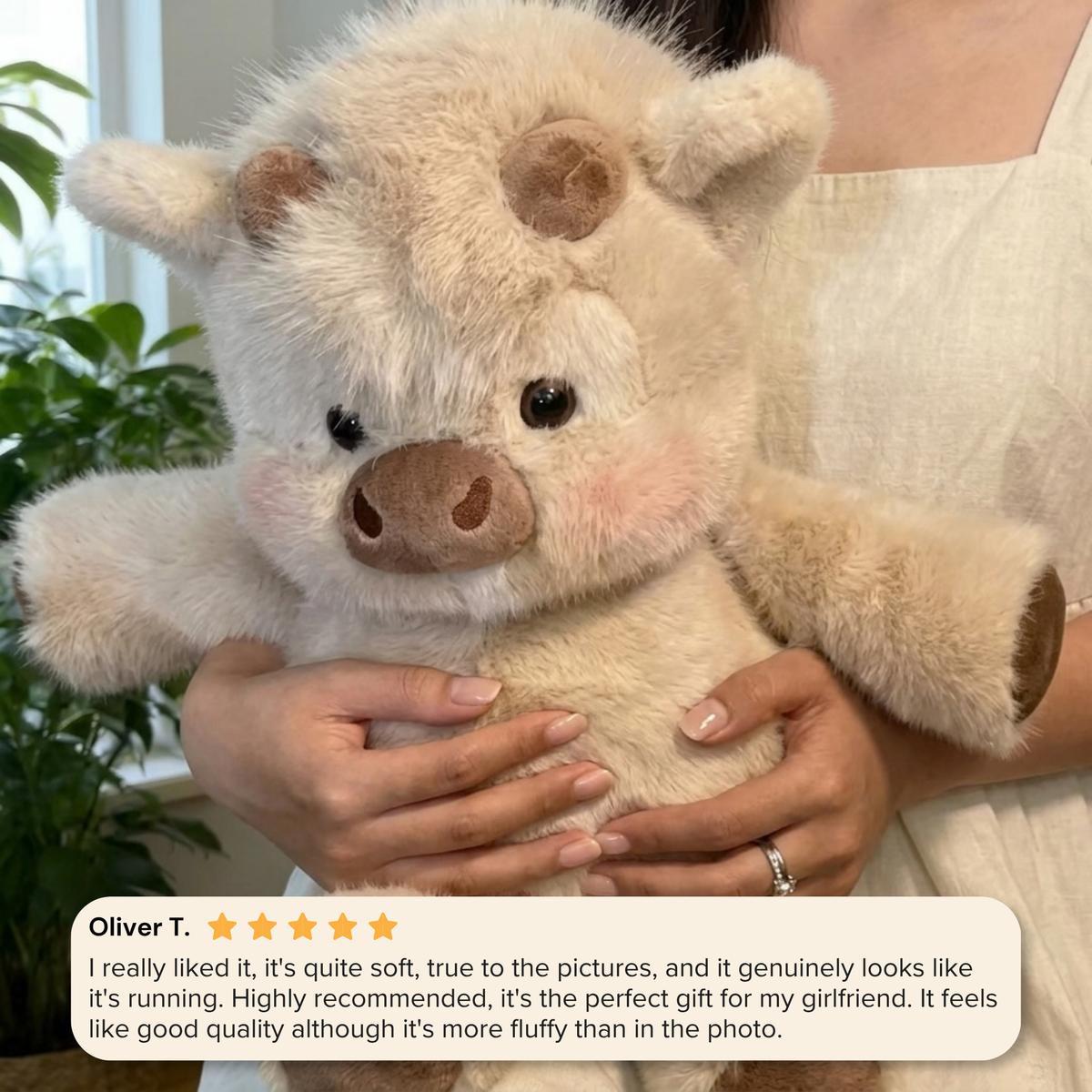 Your new favourite cuddle buddy
